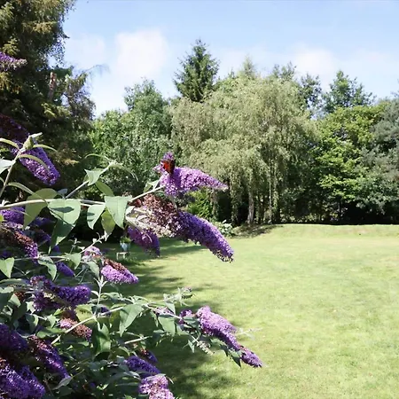 10055-1-rorvig-lindevangen-4 Rørvig