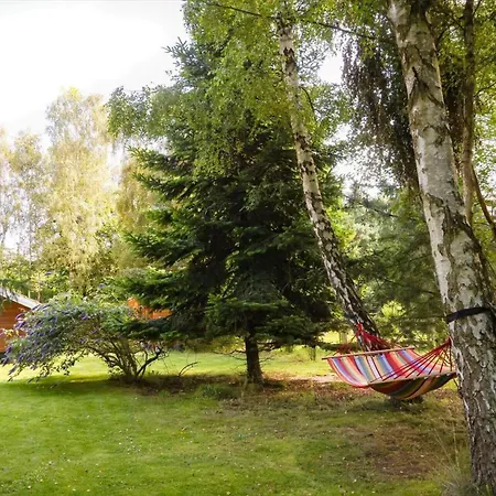 10055-1-rorvig-lindevangen-4 * Rørvig