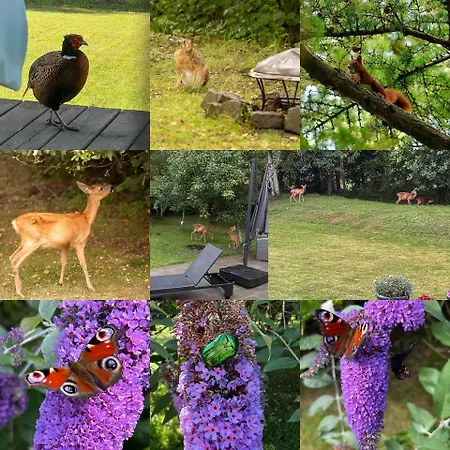 10055-1-rorvig-lindevangen-4 بيت للعطل